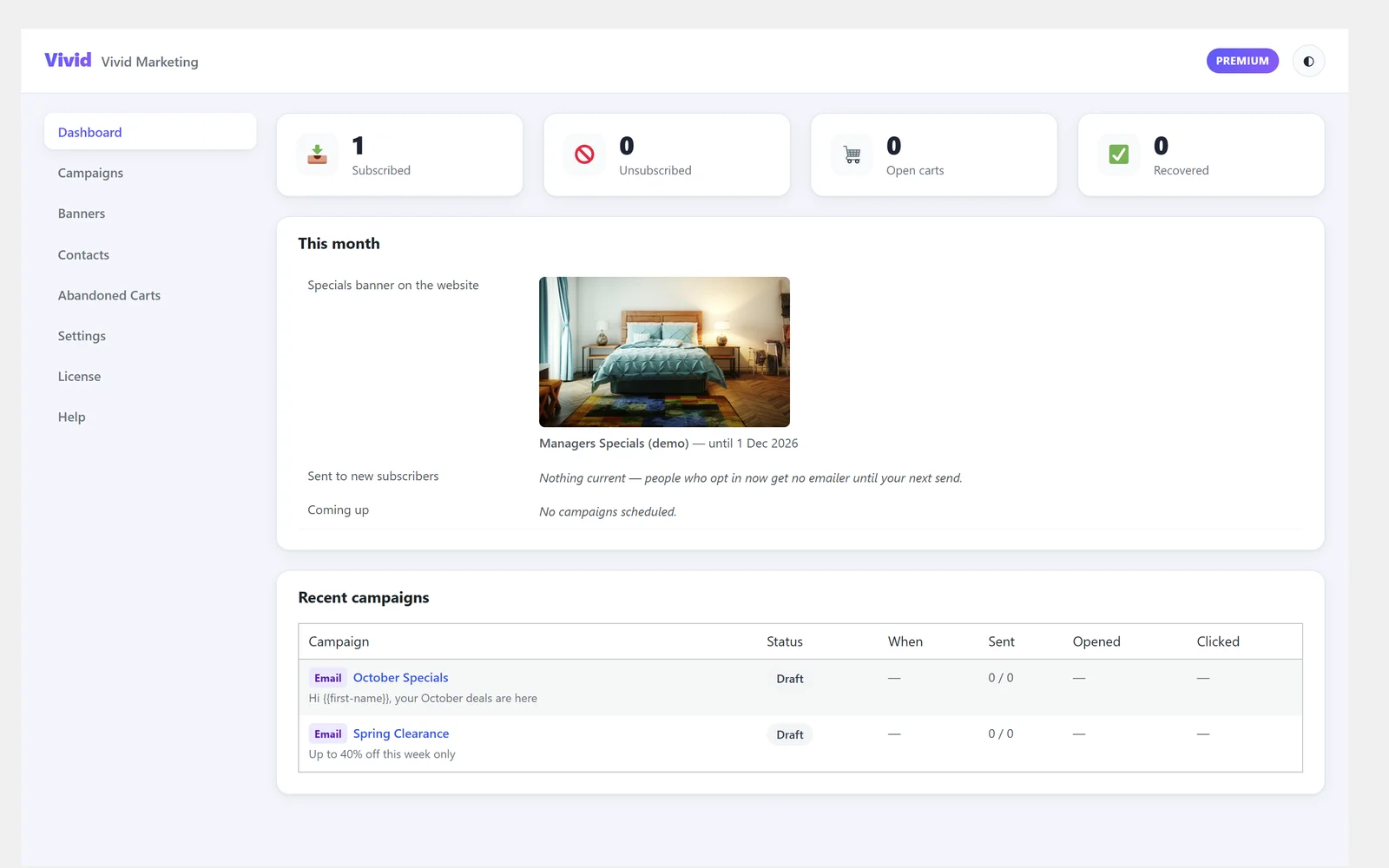 Vivid Marketing dashboard with subscriber counts, the live banner and recent campaigns